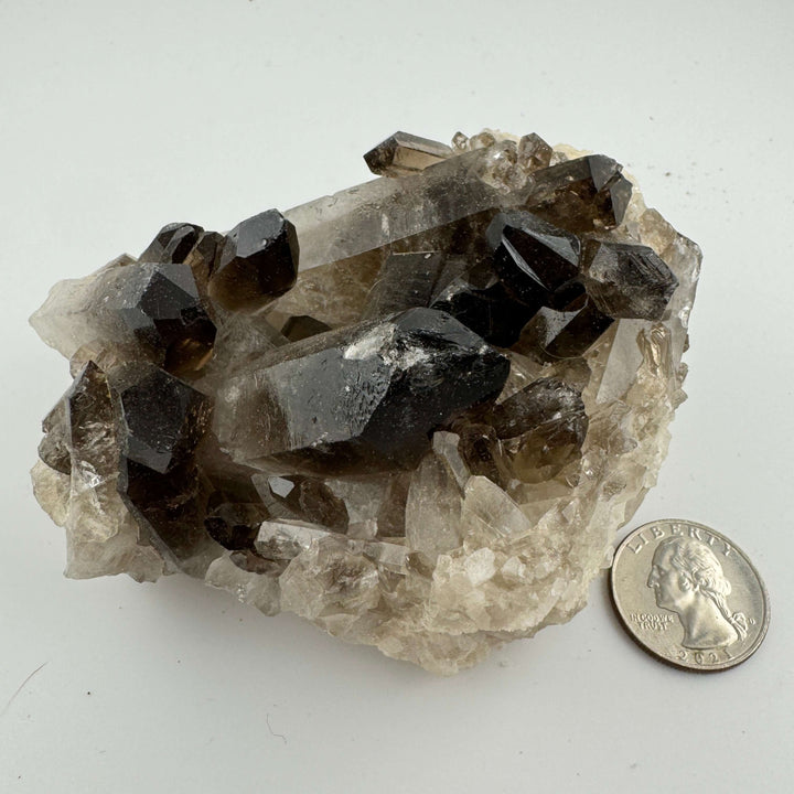 Smokey Quartz Cluster