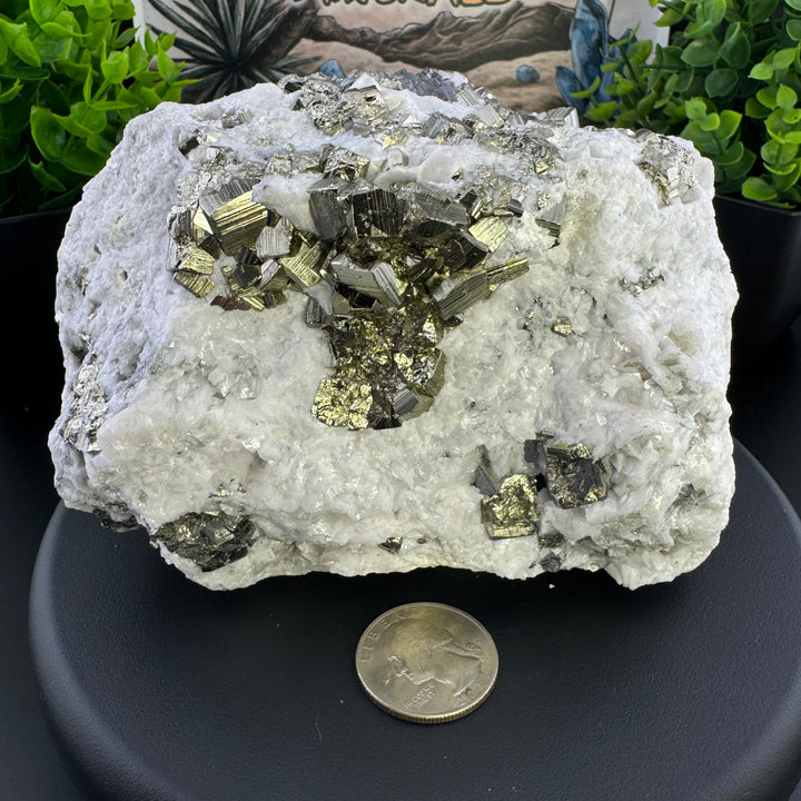 Manganese-bearing Dolomite w/ Pyrite -Durango, Mexico