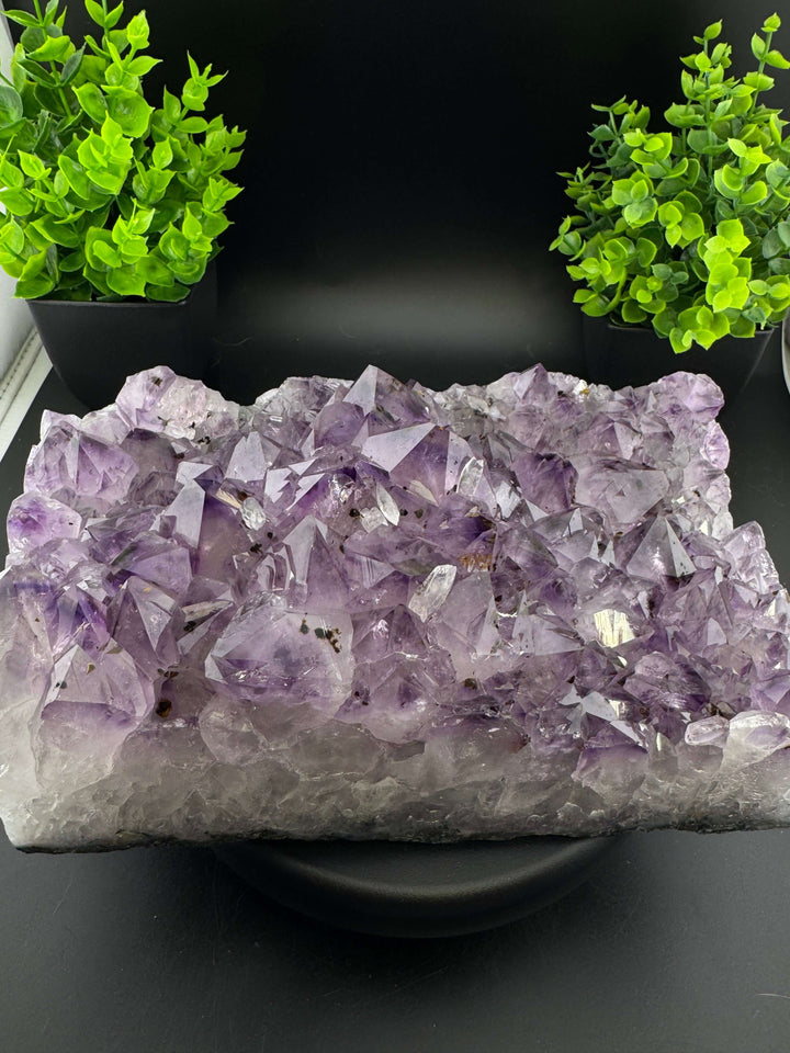 Amethyst Cluster with Golden Rutile - Brazil