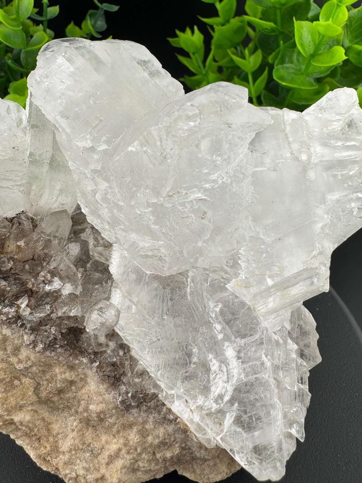 "Fishtail" Selenite /  Gypsum Specimen - Sierra Mojada, Mexico