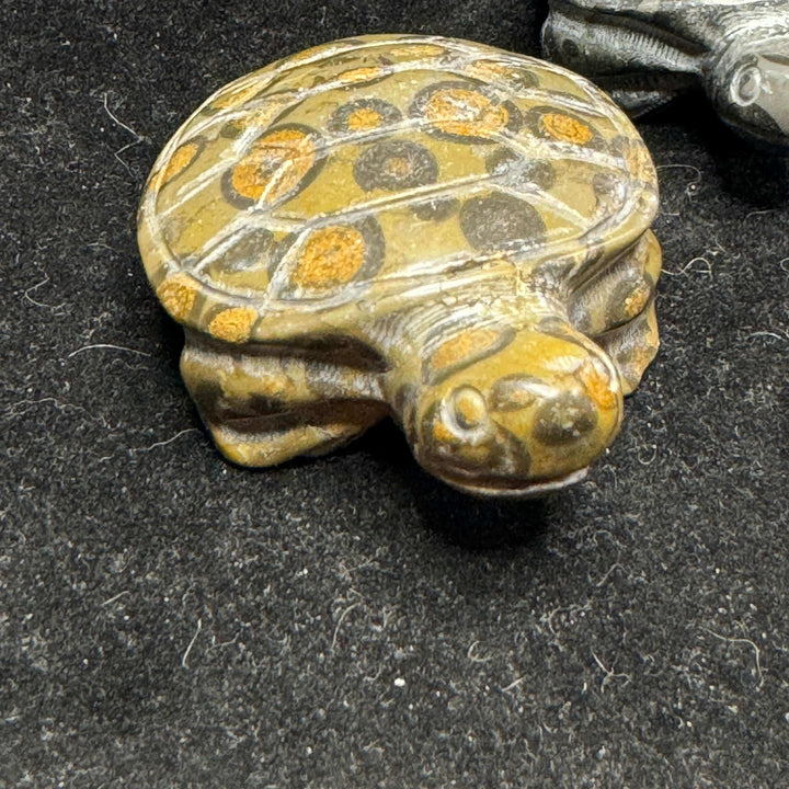 Leopard Print Jasper Turtle Carving