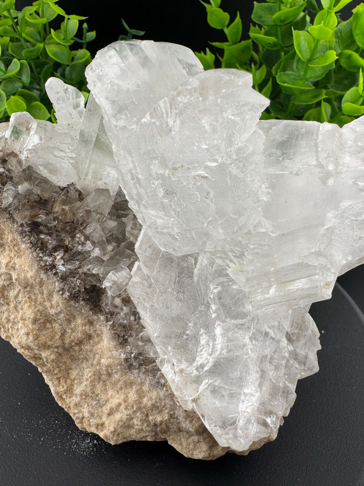 "Fishtail" Selenite /  Gypsum Specimen - Sierra Mojada, Mexico