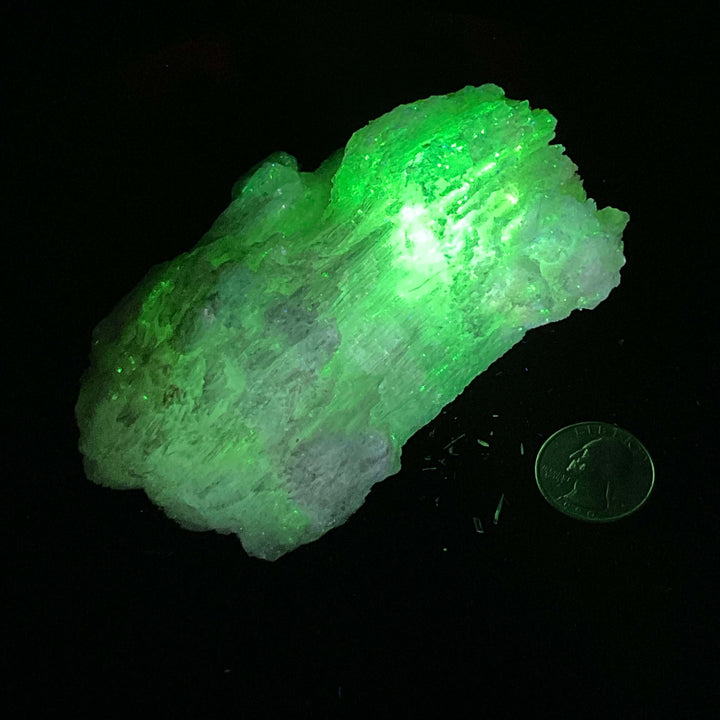 "Rams Horn" Selenite Gypsum Specimen w/ Novacekite  (330g)