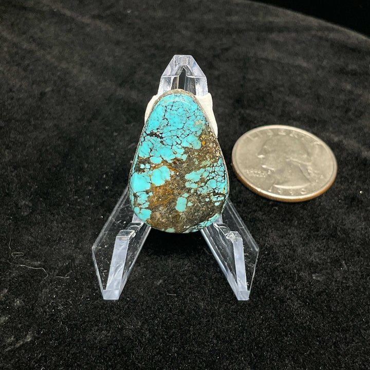 Campitos Turquoise Cabochon