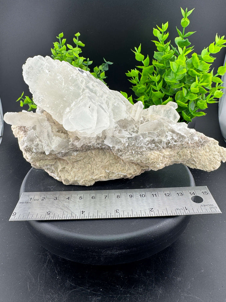 "Fishtail" Selenite /  Gypsum Specimen - Sierra Mojada, Mexico