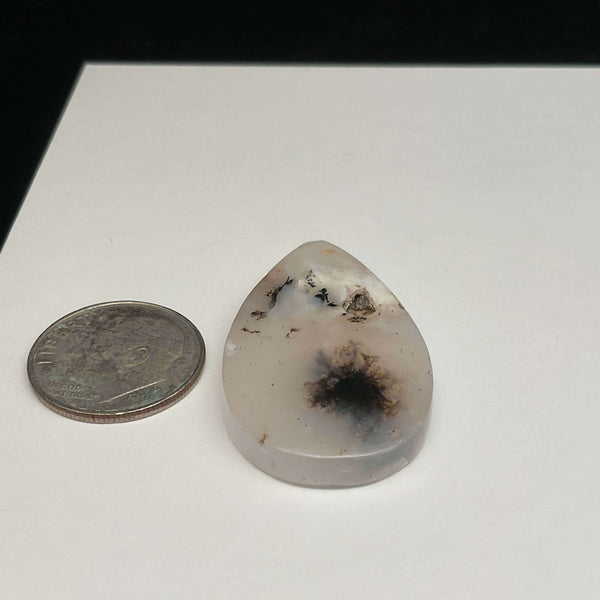 White Dendritic Opal Cabochons