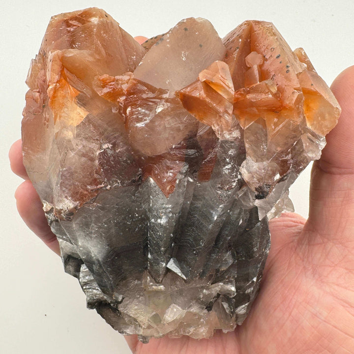 Monarch “Butterfly” Calcite - Mexico