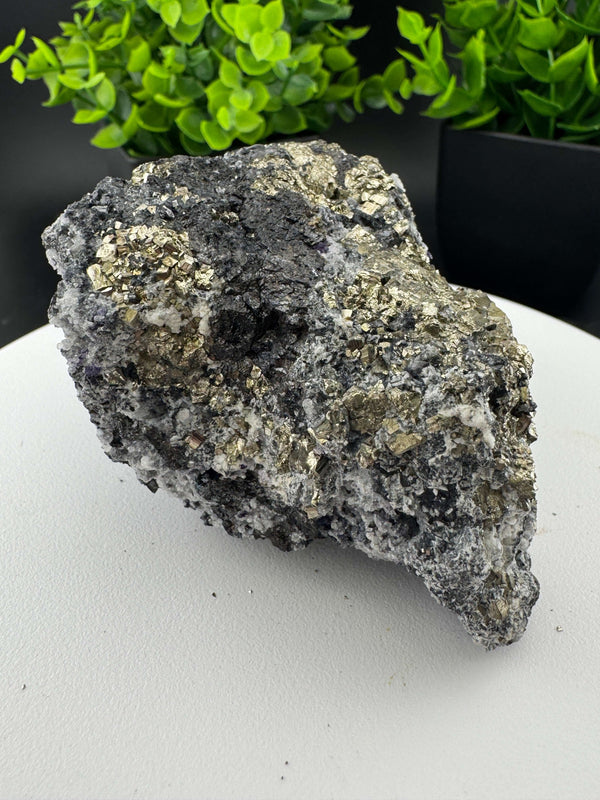 Sphalerite Pyrite Calcite Specimen - San Antonio Mine, Mexico