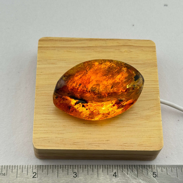 Chiapas Amber Free Form - Chiapas, Mexico