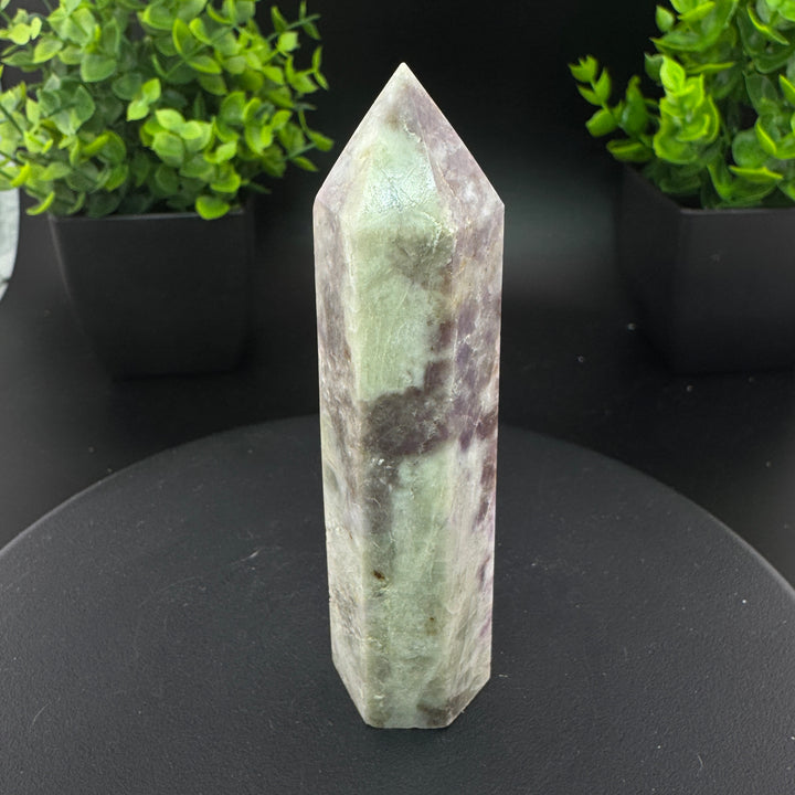 Hackmanite Point/Tower - 4 inch