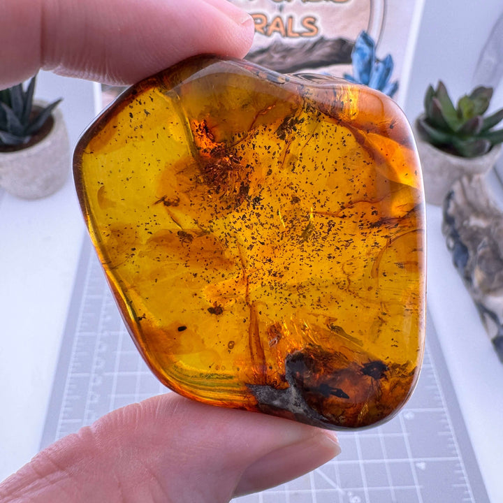 Chiapas Amber Free Form - Chiapas, Mexico