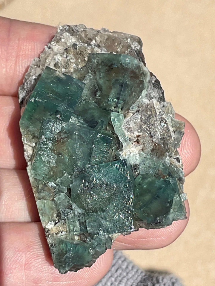 Diana Maria Fluorite - Hidden Forest Pocket (B)