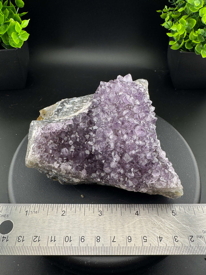 Amethyst Cluster - Uruguay