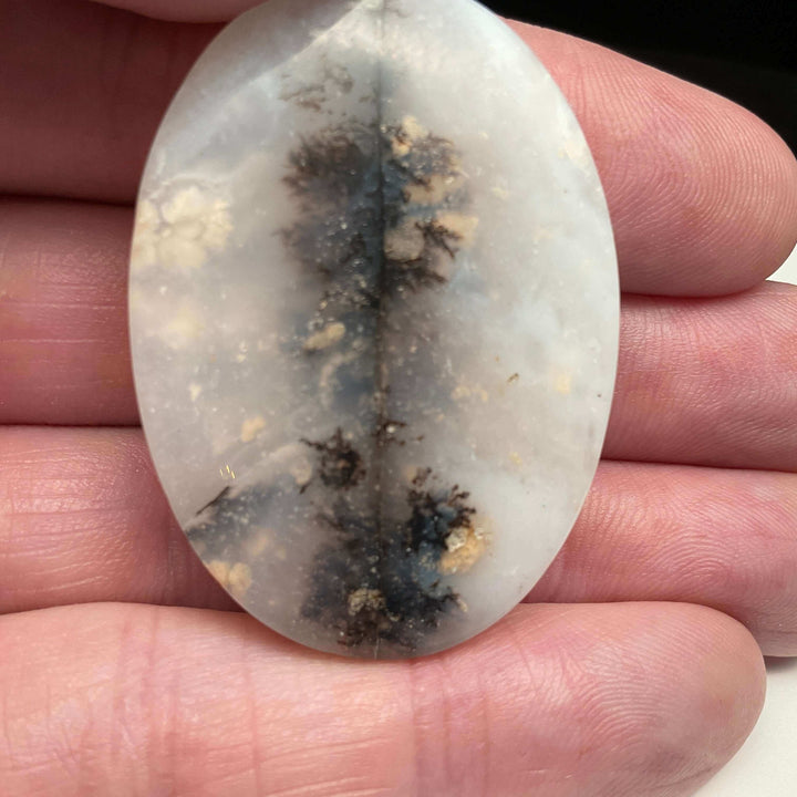 White Dendritic Opal Cabochons