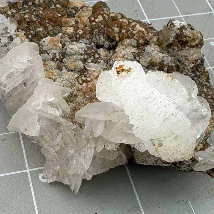 "Mouse Ear" Calcite - Mexico