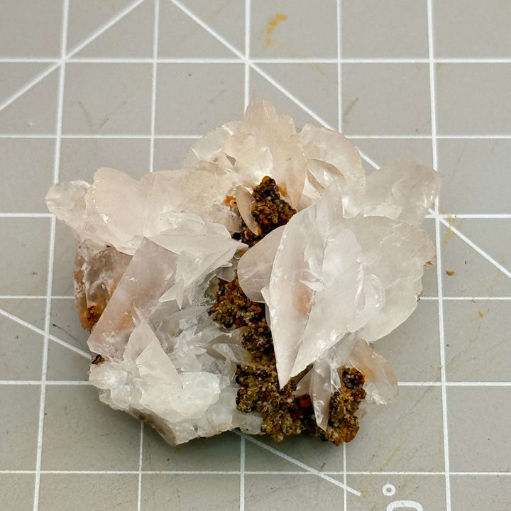 "Mouse Ear" Calcite - Mexico