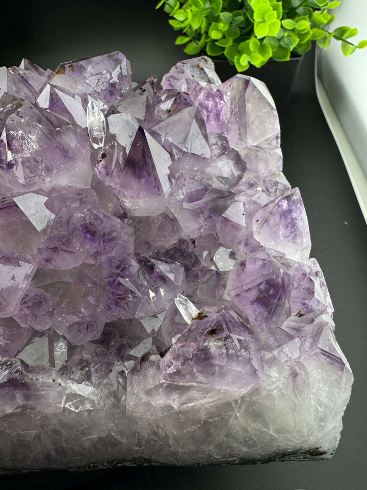 Amethyst Cluster with Golden Rutile - Brazil