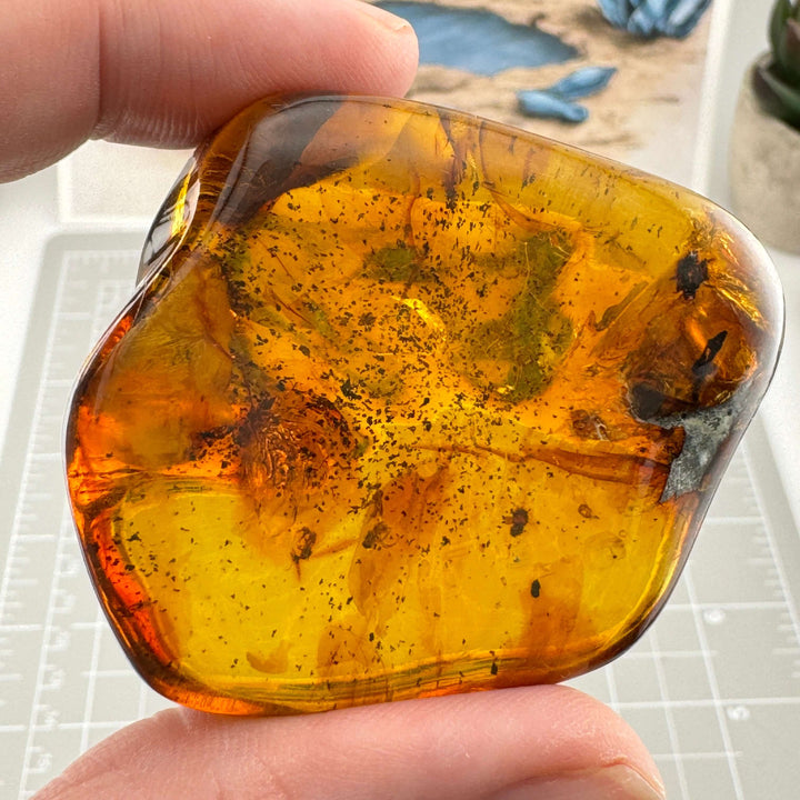 Chiapas Amber Free Form - Chiapas, Mexico