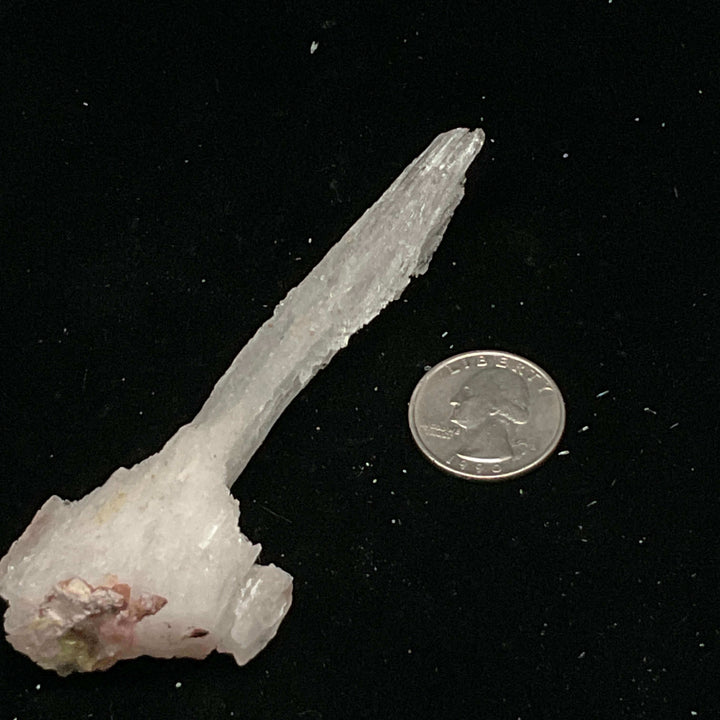 "Rams Horn" Selenite Gypsum Specimen w/ Novacekite  (30g)