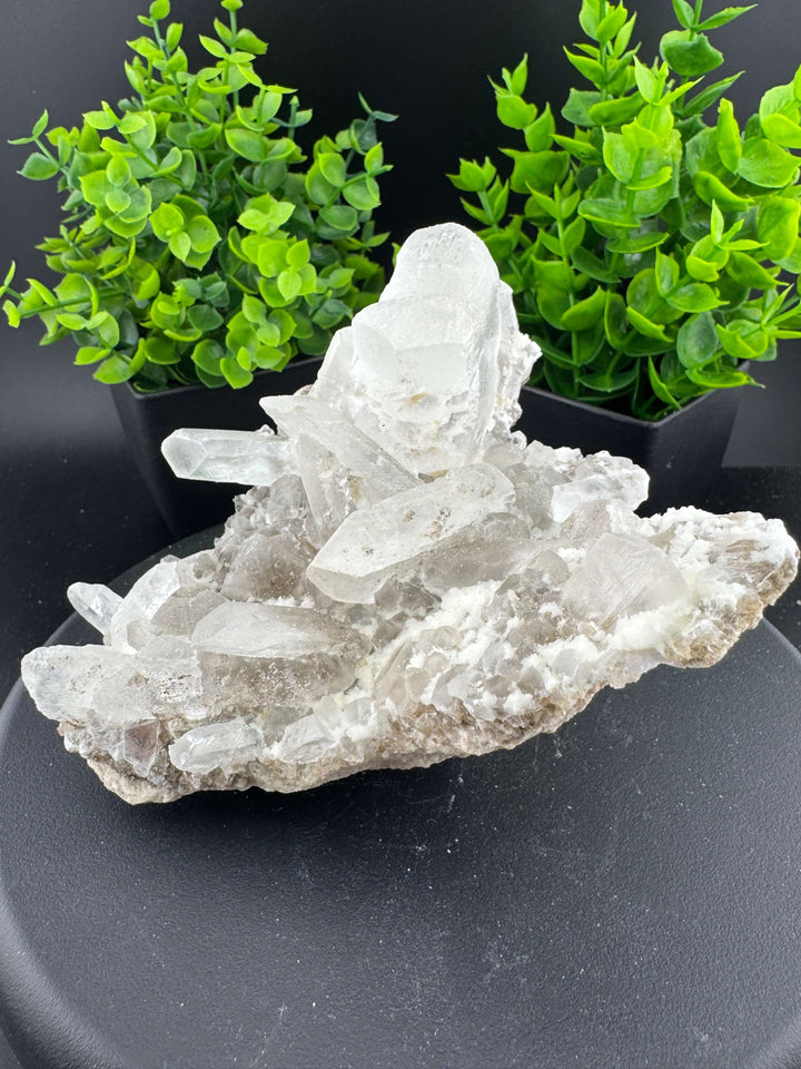 "Fishtail" Selenite /  Gypsum Specimen - Sierra Mojada, Mexico