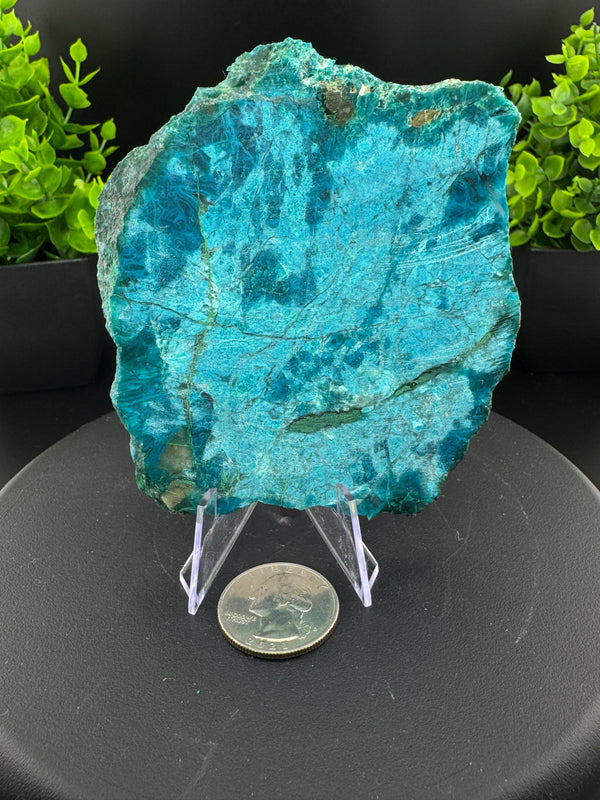 Chrysocolla Slab - San Carlos, AZ