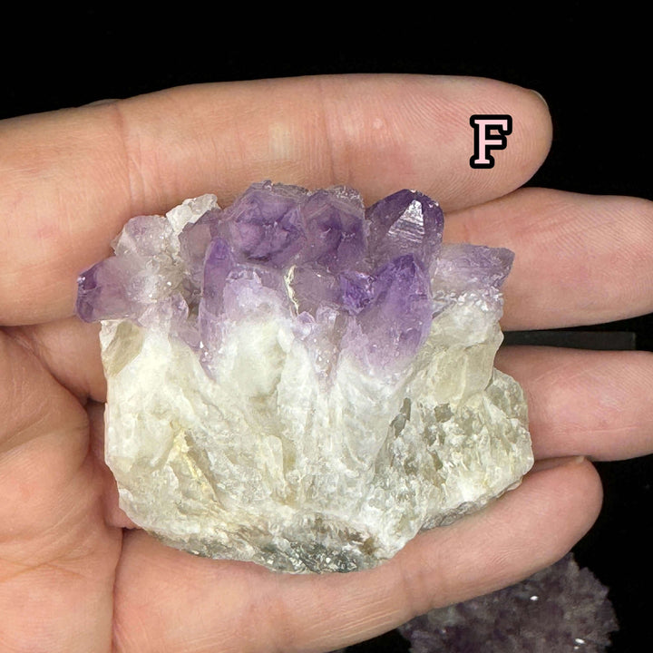 Guerrero Amethyst Specimen - Mexico