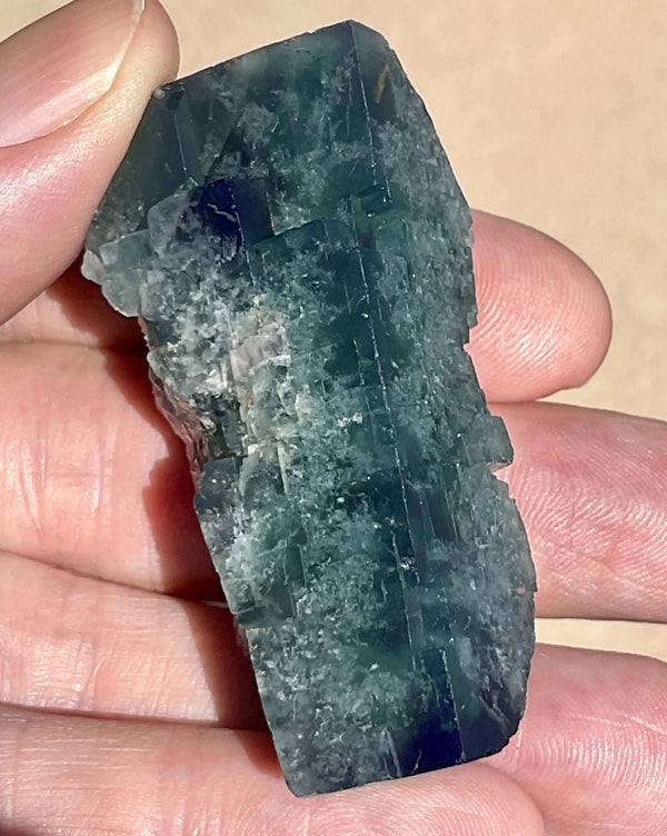 Diana Maria Fluorite - Hidden Forest Pocket (F)