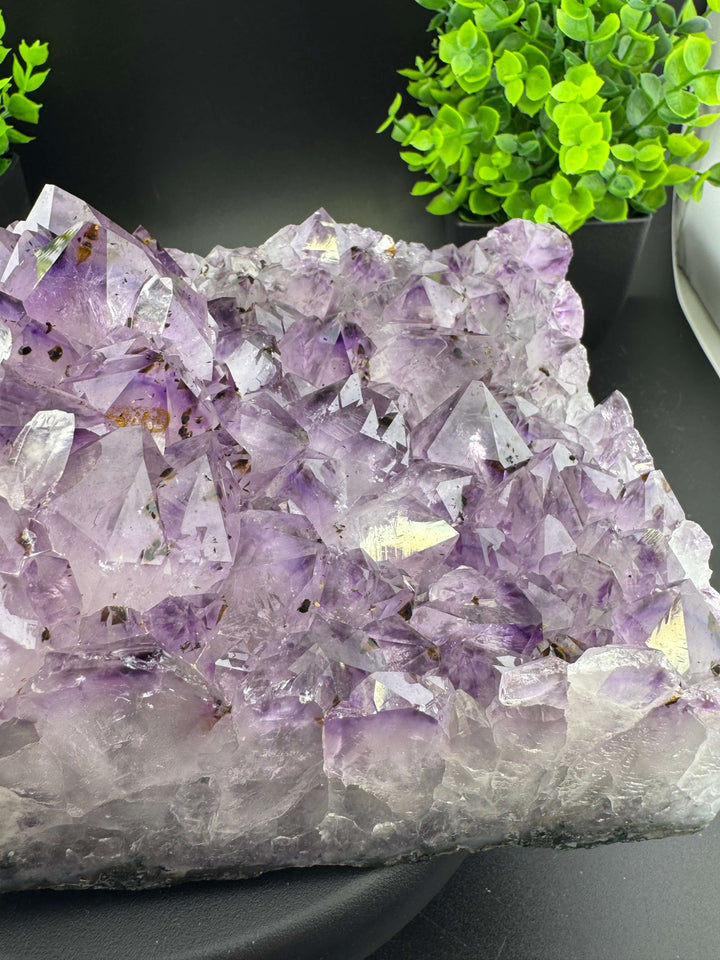 Amethyst Cluster with Golden Rutile - Brazil