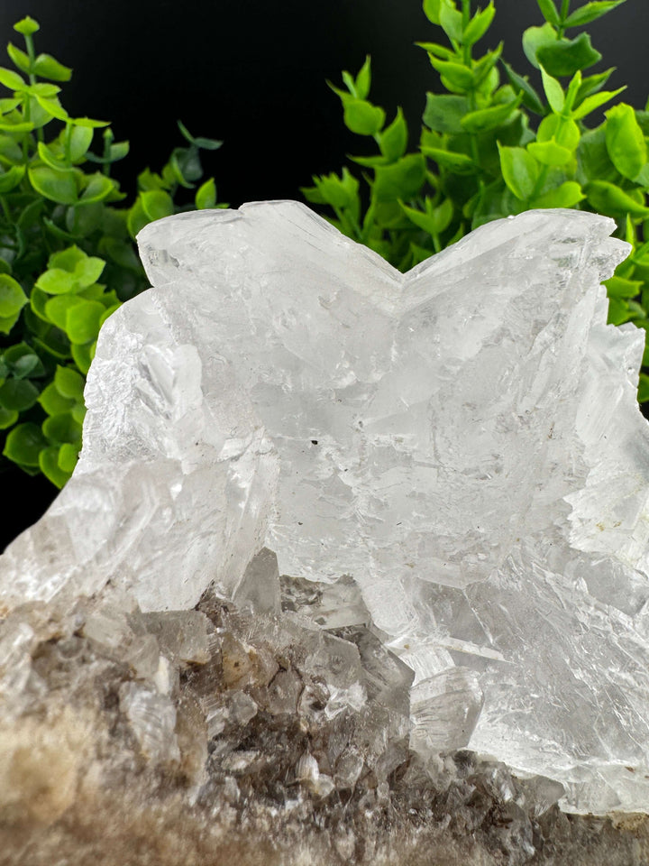 "Fishtail" Selenite /  Gypsum Specimen - Sierra Mojada, Mexico