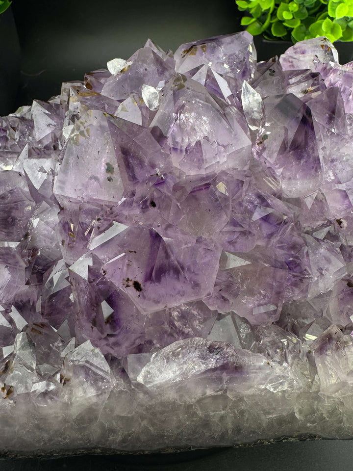 Amethyst Cluster with Golden Rutile - Brazil