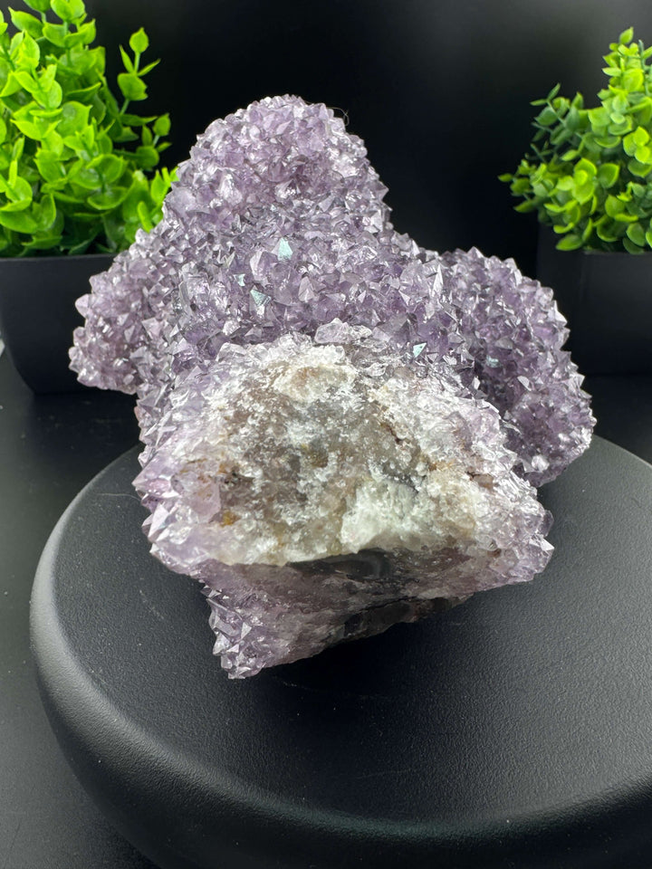 Amethyst Cluster - Uruguay