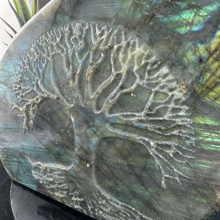 Labradorite Free Form w/ Tree of Life Carving