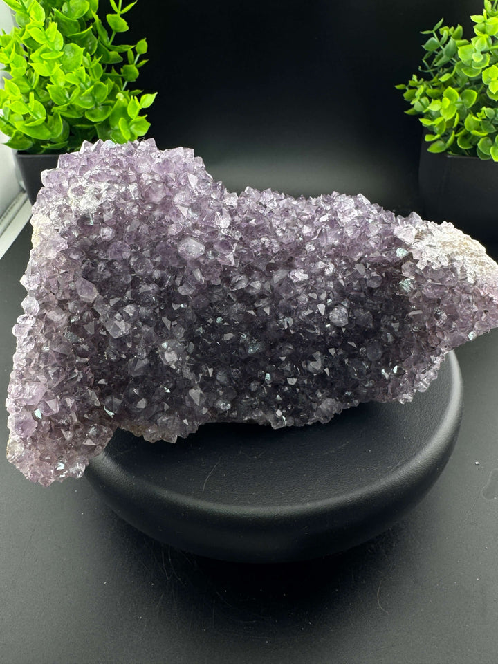 Amethyst Cluster - Uruguay