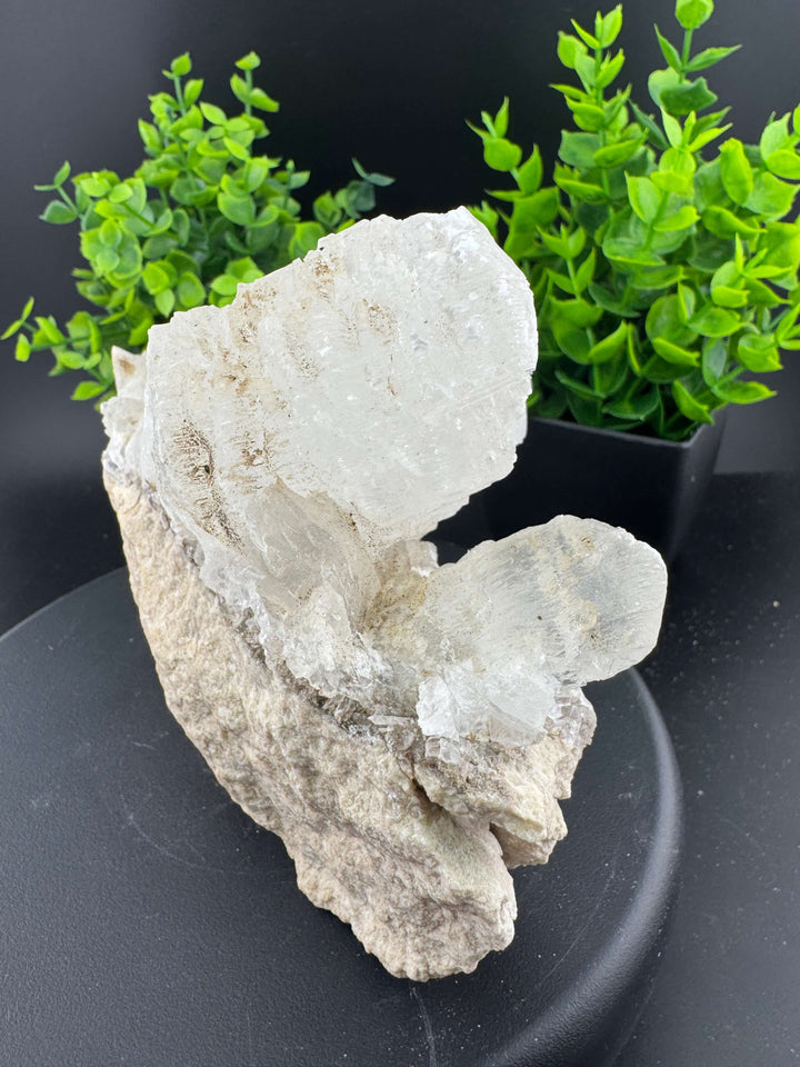 "Fishtail" Selenite /  Gypsum Specimen - Sierra Mojada, Mexico