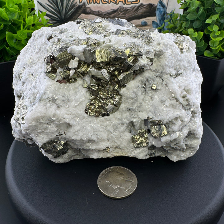 Manganese-bearing Dolomite w/ Pyrite -Durango, Mexico