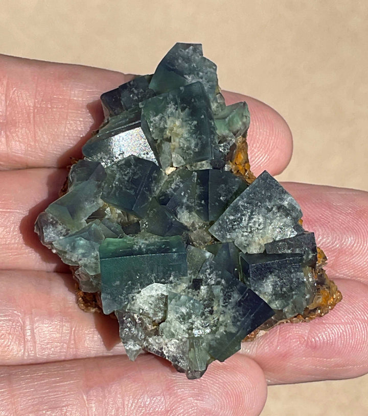 Diana Maria Fluorite - Hidden Forest Pocket (D)