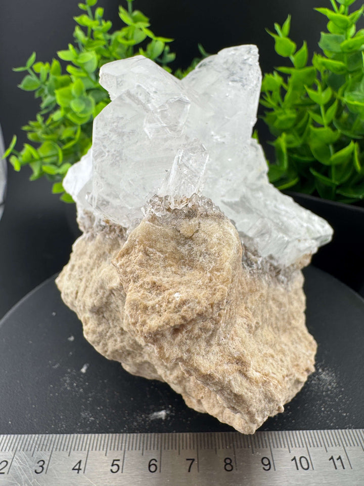 "Fishtail" Selenite /  Gypsum Specimen - Sierra Mojada, Mexico