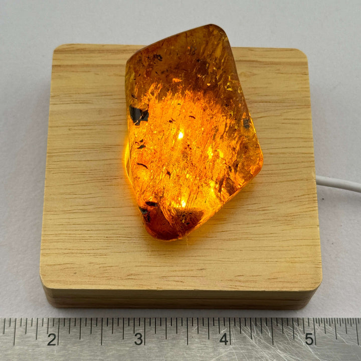 Chiapas Amber Free Form - Chiapas, Mexico