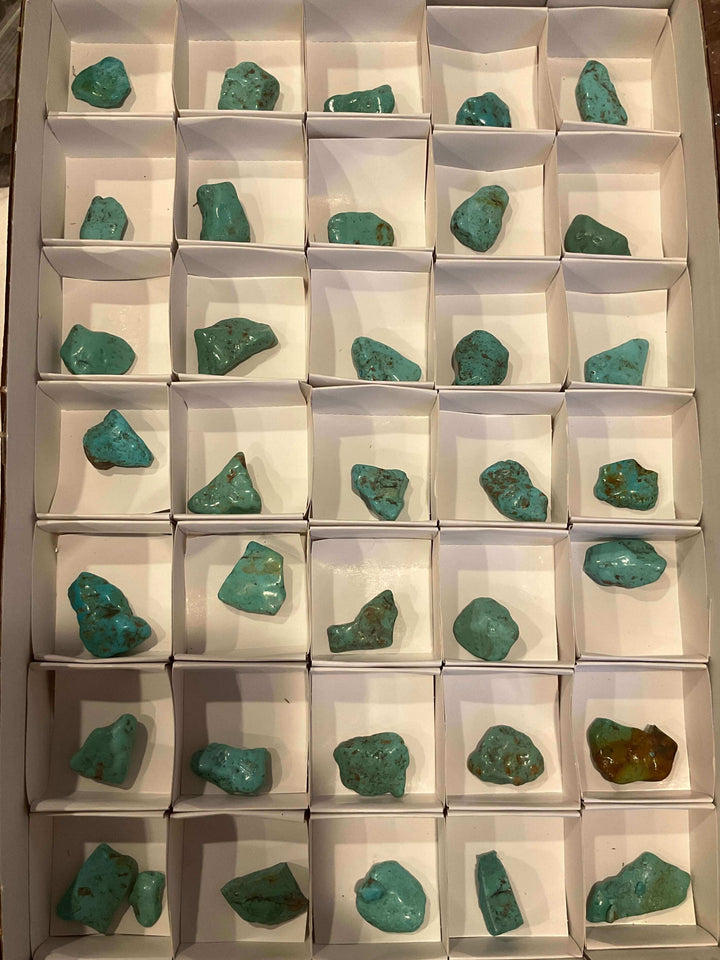 Alacran Turquoise - Tumbled and Stabilized