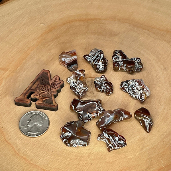 Tumbled Fire Agate (50g)