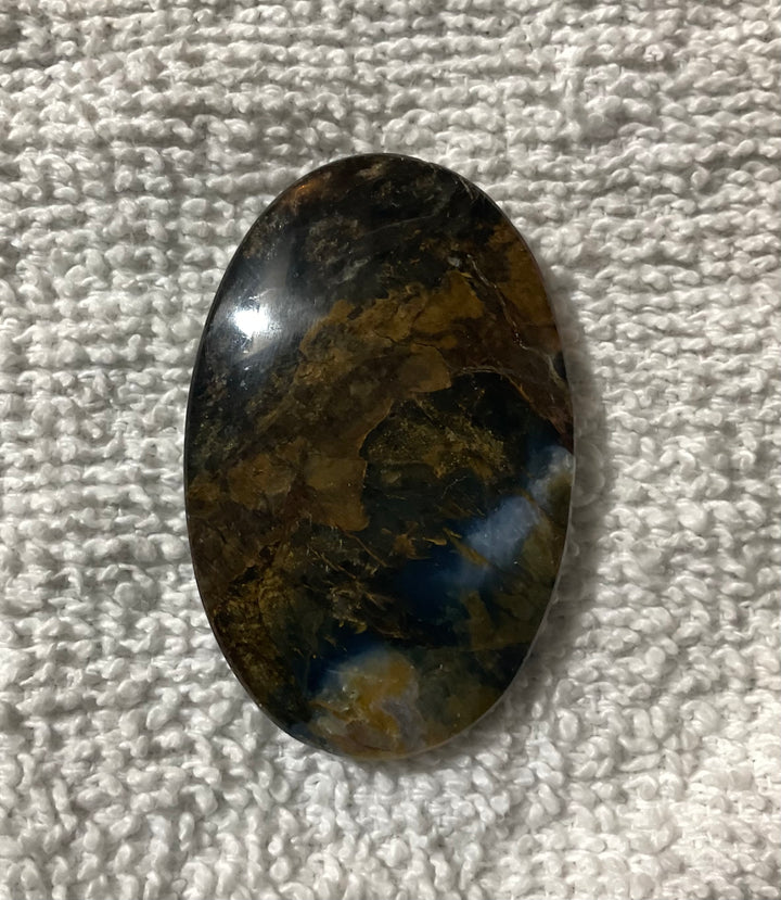 Blue Opalized Petrified Wood Medallion