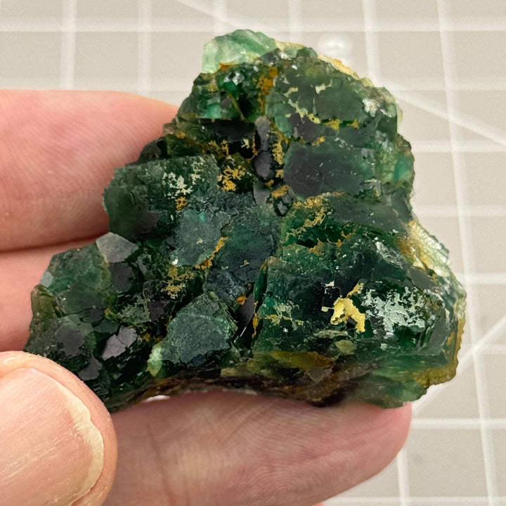 Fluorite, Okorusu Mine, Otjiwarongo, Namibia