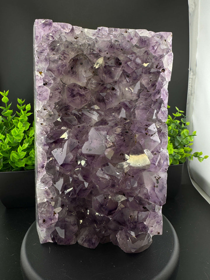 Amethyst Cluster with Golden Rutile - Brazil