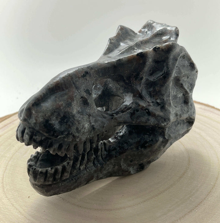 5" Carved Dinosaur Skull