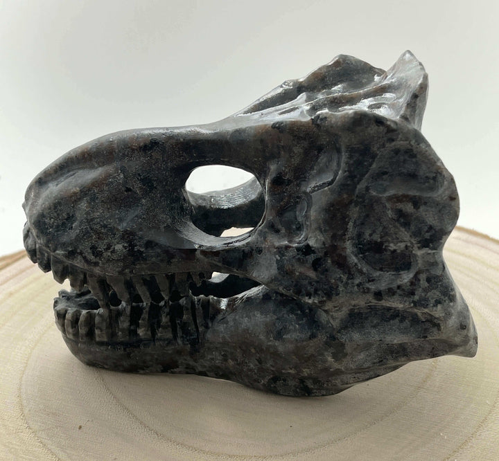 5" Carved Dinosaur Skull
