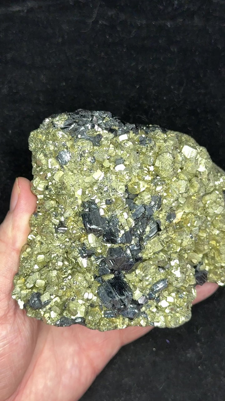 Pyrite with Schorl (Tourmaline) Specimen - Namibia