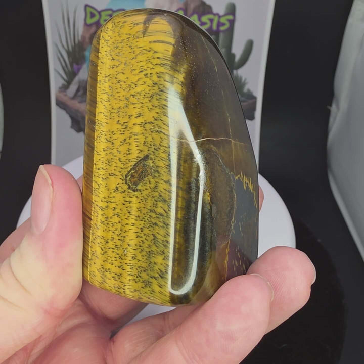 Polished Tiger's Eye freeform showcasing golden chatoyancy and smooth finish in hand.
