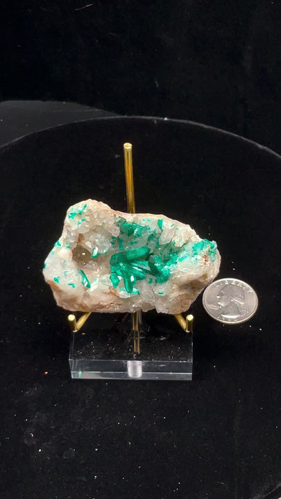 Dioptase on Quartz Specimen - Namibia