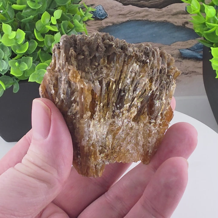 Amber Calcite - Guizhou, China