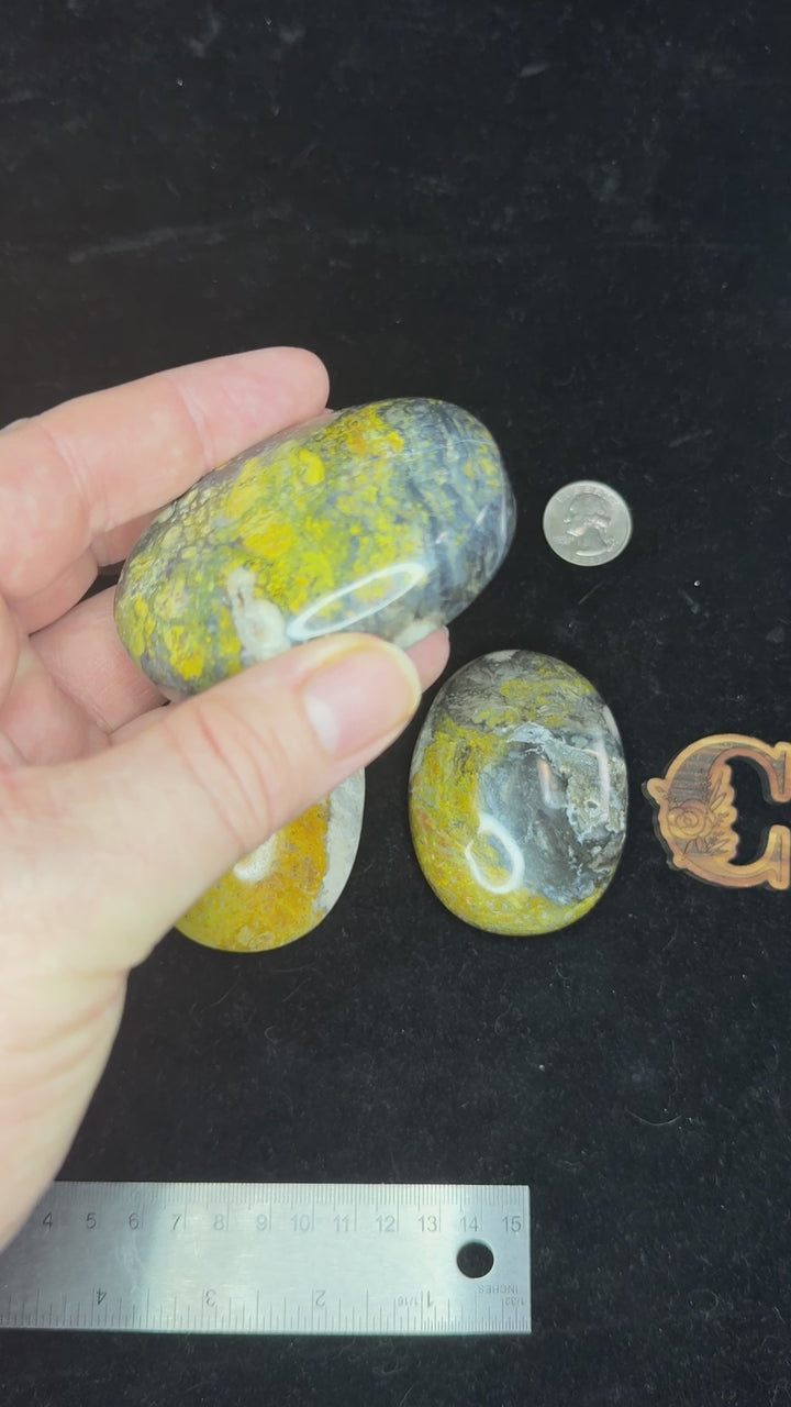 Bumblebee Jasper Palm Stone - Indonesia